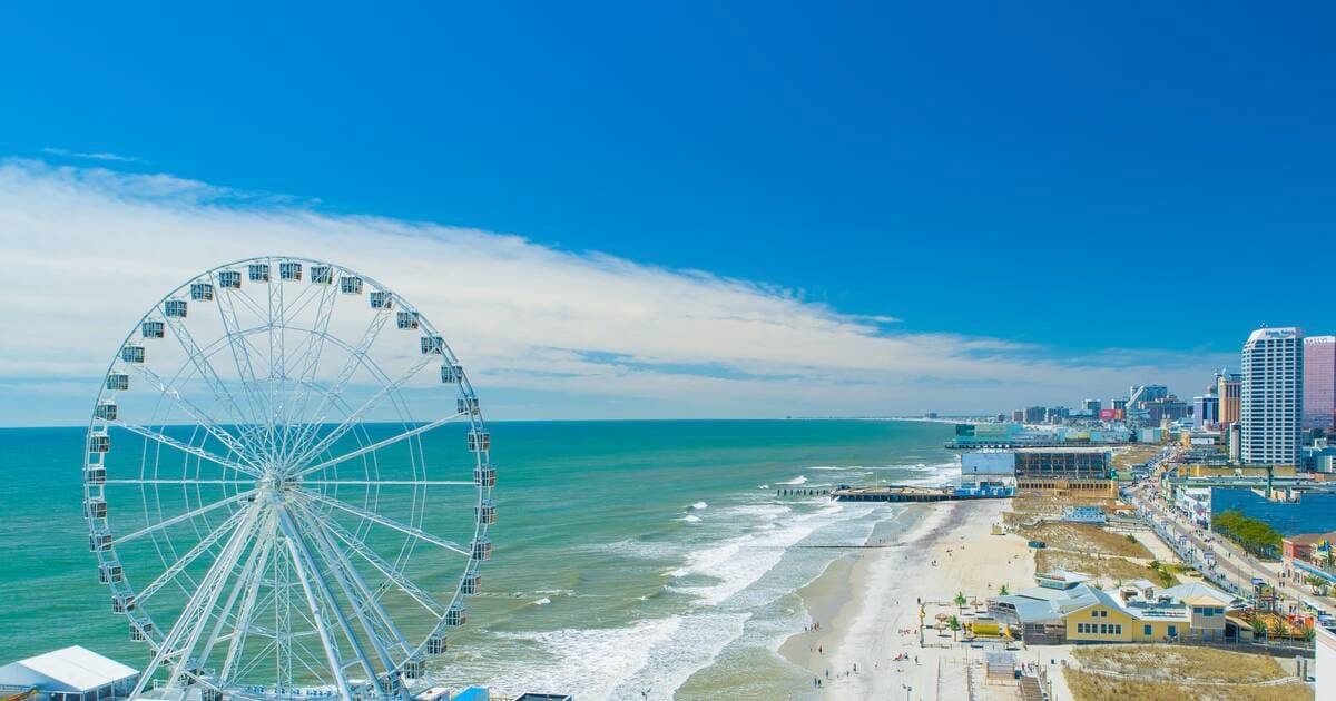 Beached Whale in Atlantic City Brings Crowds and Cranes to Remove the Gigantic Mammal