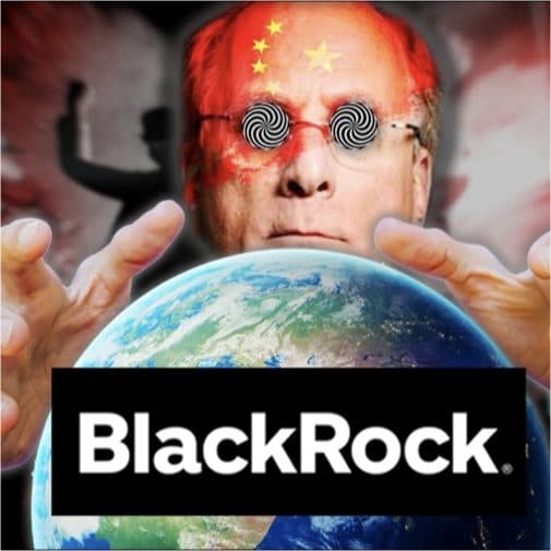 BlackRock Now Owns 80% of Bounce Houses in America